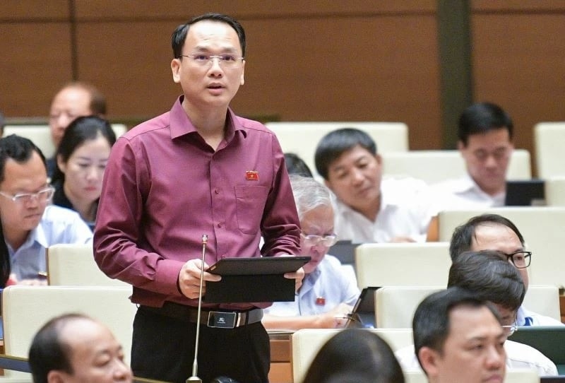 NATIONAL ASSEMBLY DELEGATES PROPOSED THE GOVERNMENT TO SUPPORT AIRLINES IN REDUCING TICKET PRICES