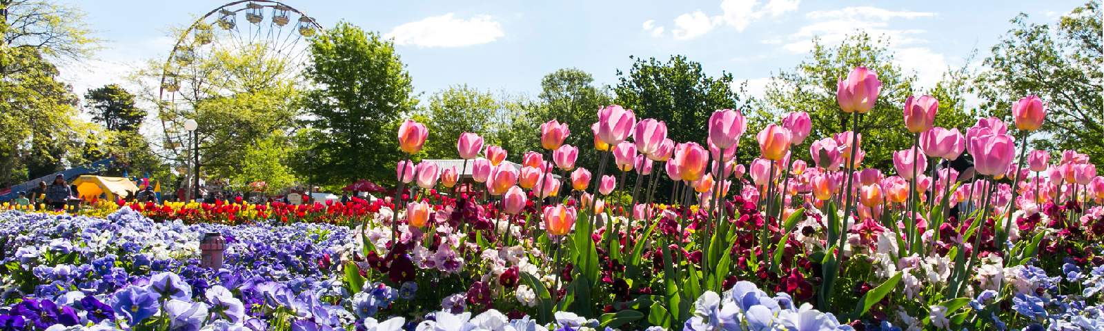 RỰC RỠ SẮC XUÂN SYDNEY – CANBERRA - MELBOURNE