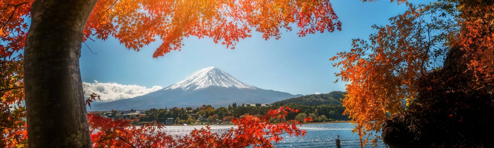 TOUR NHẬT BẢN – BẮT TRỌN KHOẢNH KHẮC LÁ THU