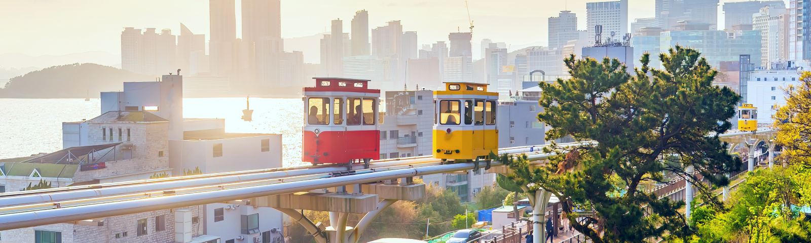VI VU THÀNH PHỐ BIỂN BUSAN – DAEGU – SEOUL