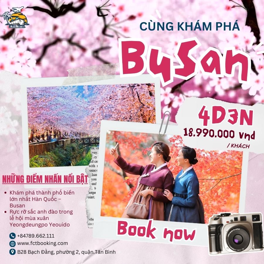 BUSAN - SEOUL: MÙA HOA ANH ĐÀO