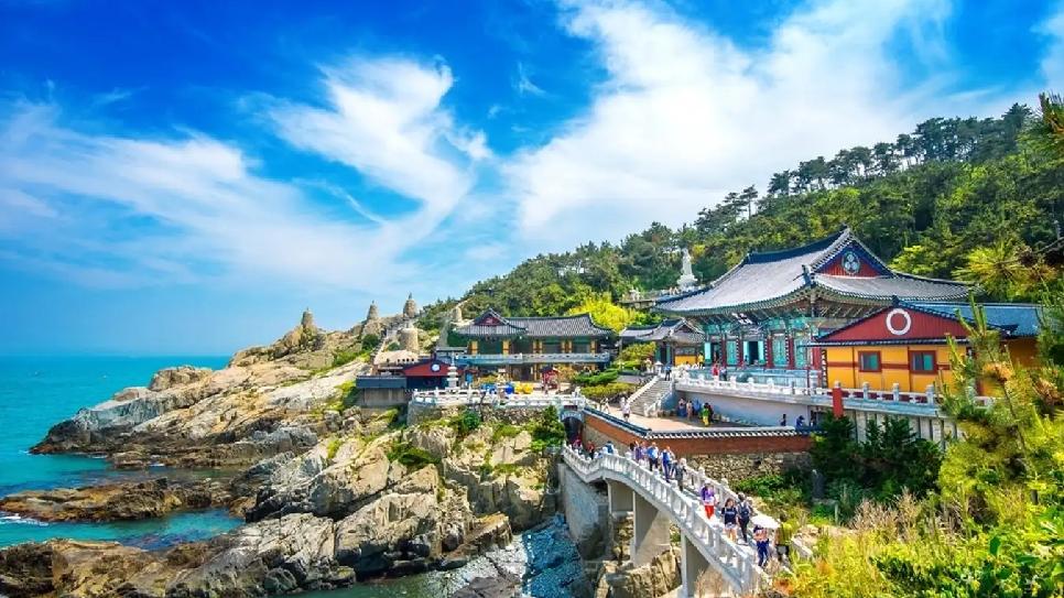 VI VU THÀNH PHỐ BIỂN BUSAN – DAEGU – SEOUL