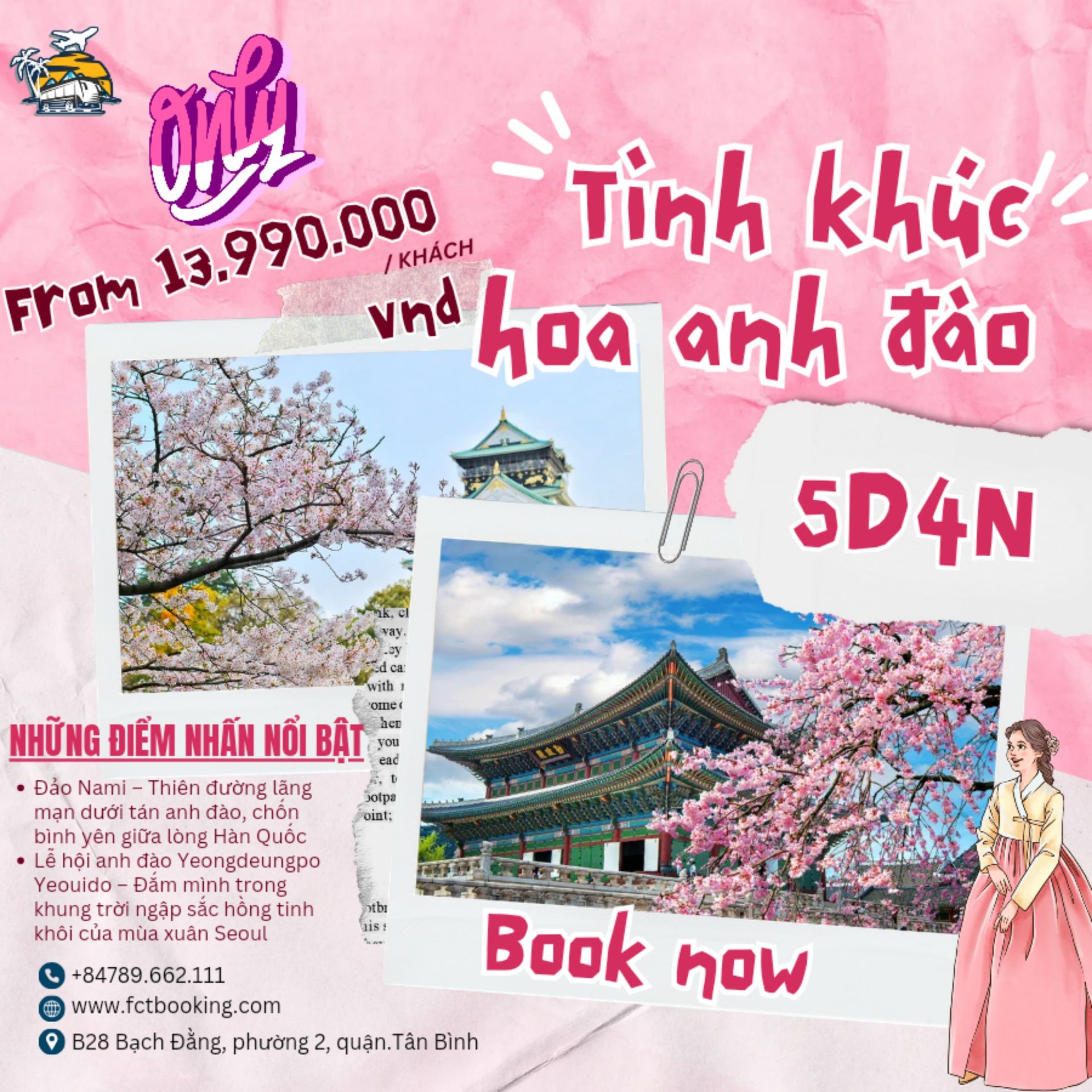 TÌNH KHÚC HOA ANH ĐÀO HÀN QUỐC